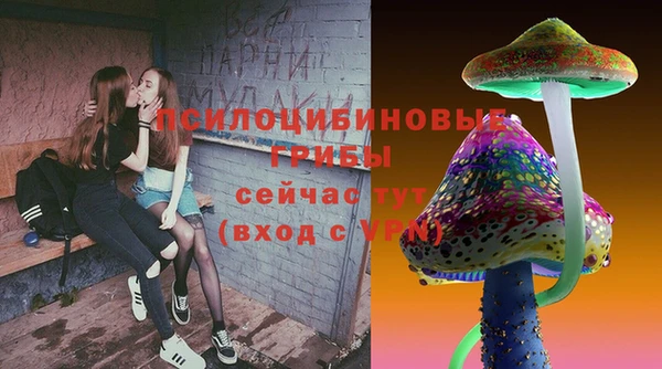 экстази Козельск