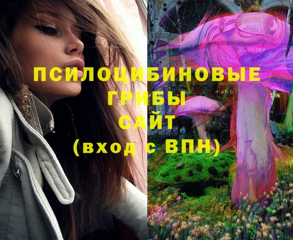 альфа пвп Козловка